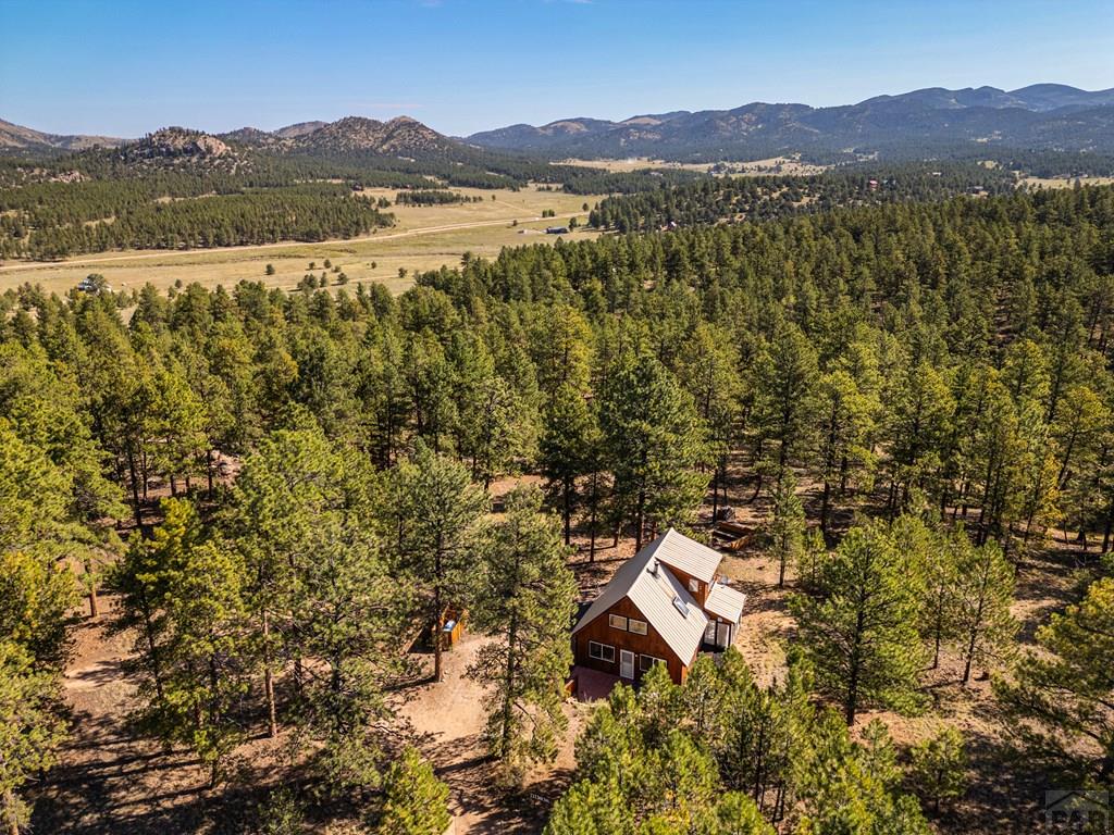 Residential in Westcliffe 2