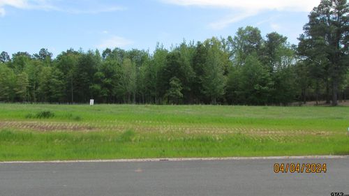 16833 Ridgeline Loop, Winona, TX, 75792-6212 | Card Image