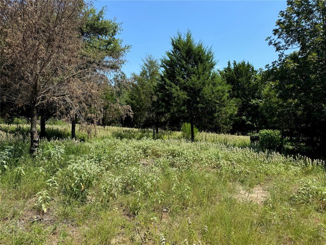 174 Charlya Dr, Home with 0 bedrooms, 0 bathrooms and null parking in Athens TX | Image 4