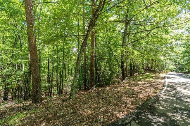 64 Wrens Nest, Home with 0 bedrooms, 0 bathrooms and null parking in Big Canoe GA | Image 4