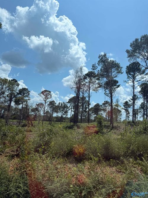 Lot 34 County Road 158, Centre, AL, 35960 | Card Image