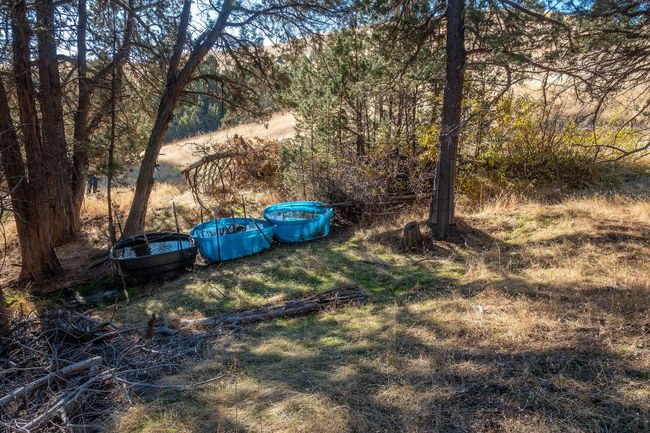46459 Shaniko-Fossil Hwy RX_0198 copy | Image 48
