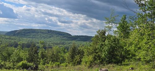 55 Old Whitney Rd, Harrison, ME, 04040-3428 | Card Image