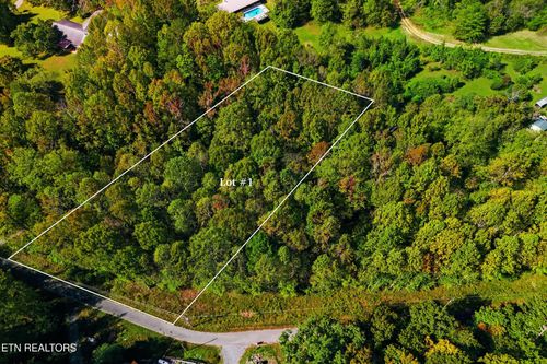 1 Timber Lake Drive, Cosby, TN, 37722 | Card Image