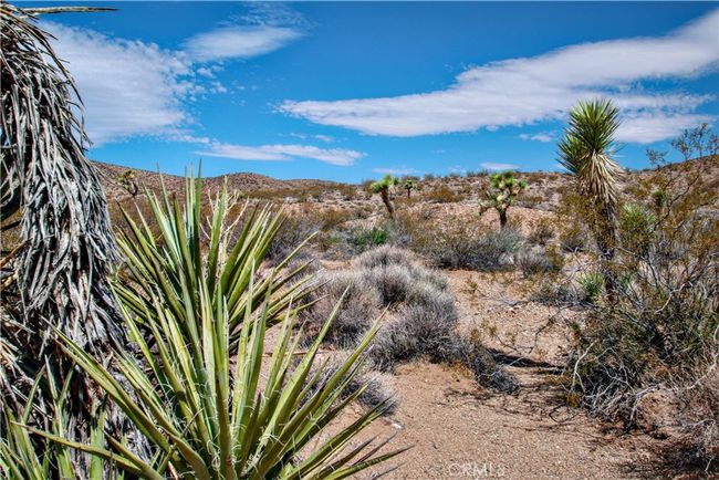 60024 Old Chisholm Trl, Home with 0 bedrooms, 0 bathrooms and null parking in Joshua Tree CA | Image 6