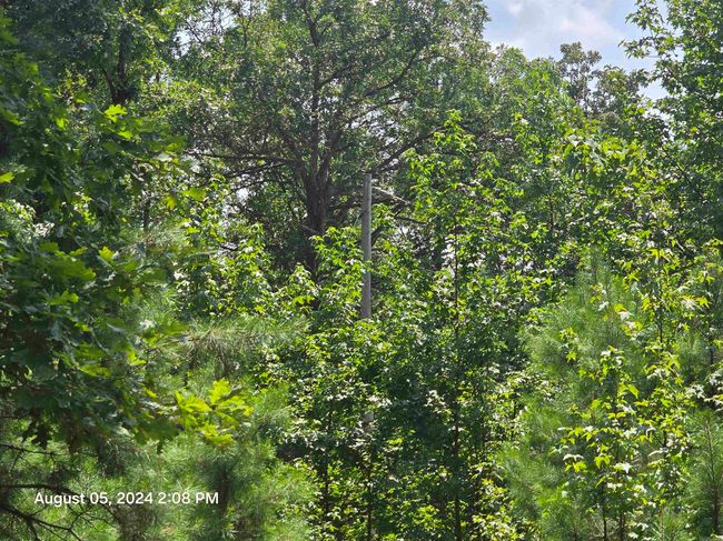 0 Floral Rd, Home with 0 bedrooms, 0 bathrooms and null parking in Concord AR | Image 5