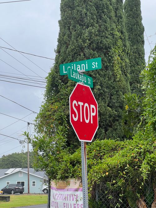 719 Laukapu St, HILO, HI, 96720-4437 | Card Image