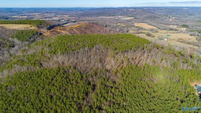 80 acres Rock Creek Rd, Home with 0 bedrooms, 0 bathrooms and null parking in Eva AL | Image 19
