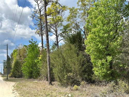 TBD Ne 63rd Pl, WILLISTON, FL, 32696 | Card Image