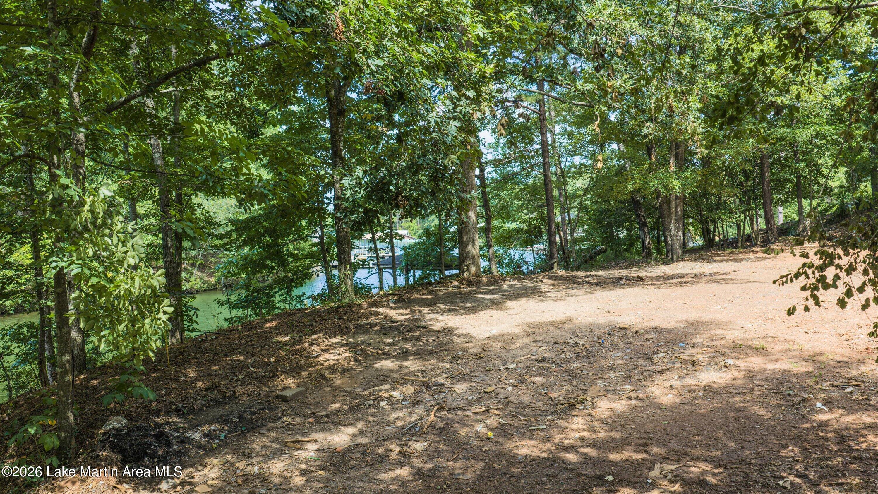 Land in Jacksons Gap 2