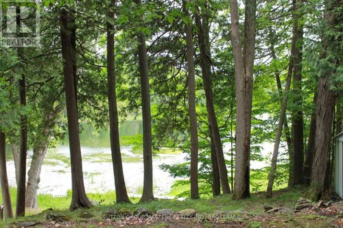 0 Silver Rock Lane, Verona, ON, K0H2W0 | Card Image