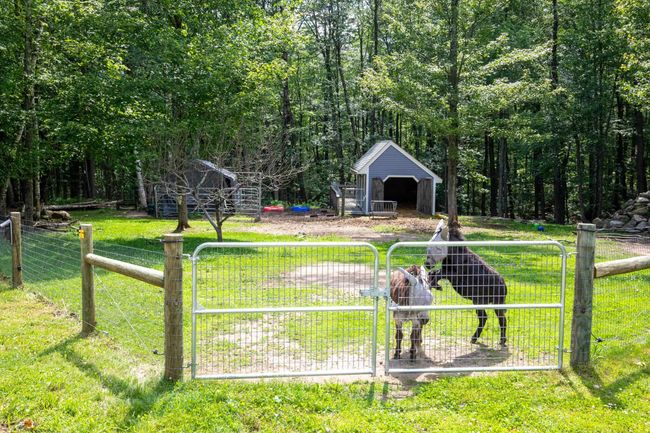 123 Stephen Dr, House other with 5 bedrooms, 4 bathrooms and null parking in Goffstown NH | Image 55