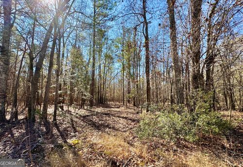 1 Cross Cedar Rd, Wrightsville, GA, 31096-5300 | Card Image