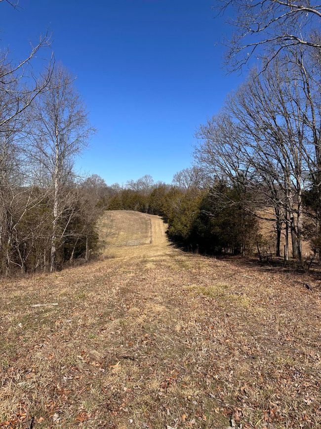 265 - 24265 S Mohawk Rd, Home with 0 bedrooms, 0 bathrooms and null parking in Mohawk TN | Image 34