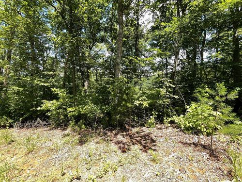 Lot 17 Big Cove Dr, Hiawassee, GA, 30546 | Card Image