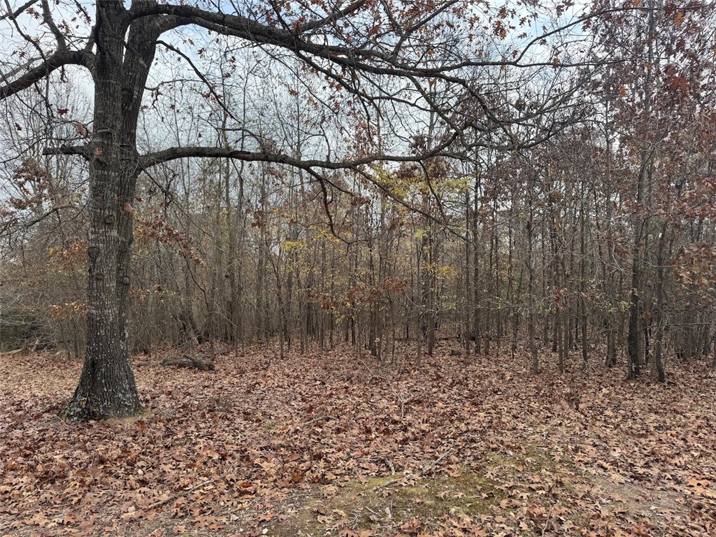 Land in Fayetteville 4