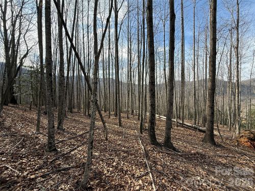67-1029 Chippewa Dr, Arden, NC, 28704-1488 | Card Image