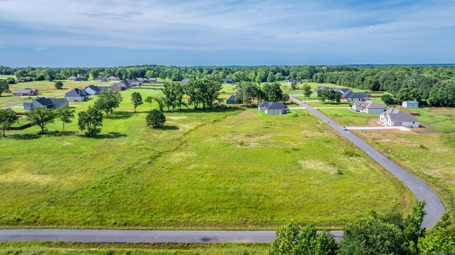 0000 Irene Cir, Home with 0 bedrooms, 0 bathrooms and null parking in Greenbrier AR | Image 9