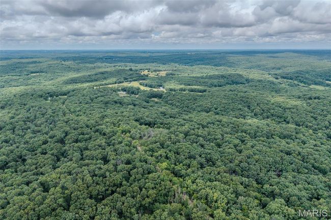 Drone / aerial view of a heavily wooded area | Image 80