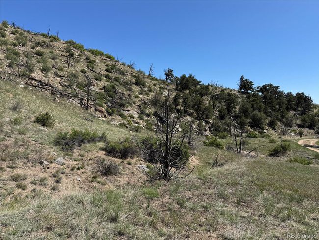 29 18 X, Home with 0 bedrooms, 0 bathrooms and null parking in Cotopaxi CO | Image 4
