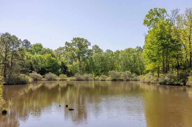 View of water feature with a view of trees | Image 37