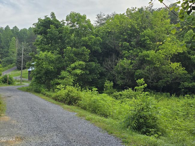 8 Mccarter Hollow Rd, Home with 0 bedrooms, 0 bathrooms and null parking in Sevierville TN | Image 11