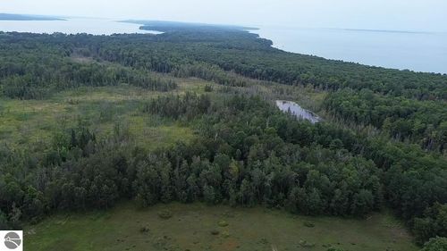 0 Lore Rd, Central Lake, MI, 49622 | Card Image