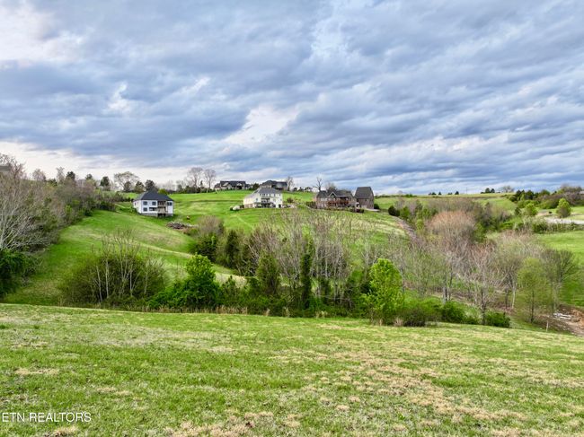 110 Tumbleweed Trl, Home with 0 bedrooms, 0 bathrooms and null parking in Rutledge TN | Image 9