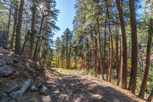 Lot 4 Old Hill City Rd, Keystone, SD, 57751 | Card Image