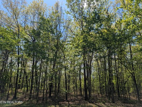 0 Cumberland Lakes Dr, Monterey, TN, 38574 | Card Image