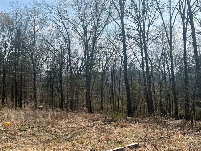 783 Nc 8400, House other with 2 bedrooms, 1 bathrooms and null parking in Jasper AR | Image 31