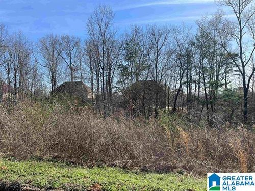 76-1 Summit Ridge Way, Odenville, AL, 35120 | Card Image