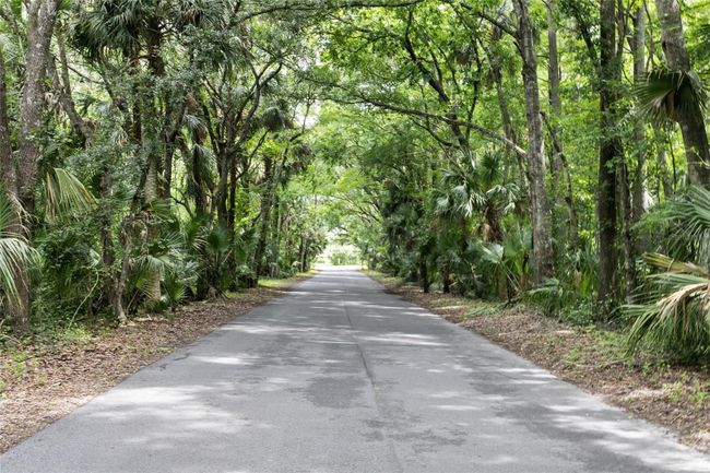 DREAMY tree lined drive to your new DREAM HOME! | Image 6