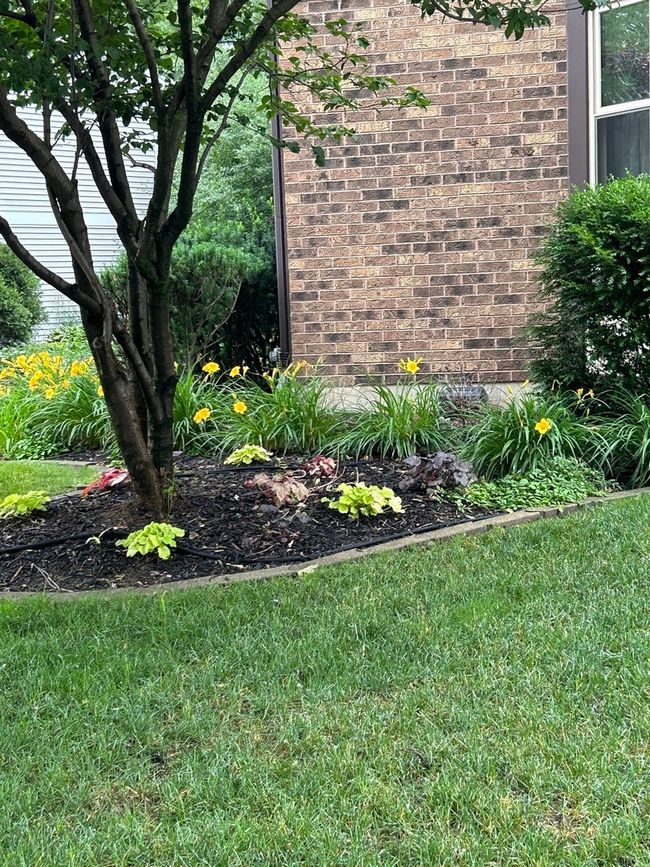 223 Alpine Drive, For Sale in Lake Zurich Zoocasa