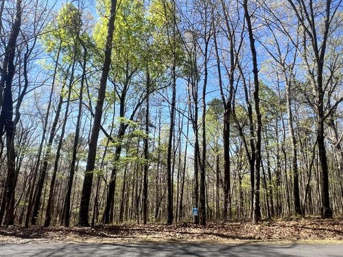 Lot 93 Doll Mountain Road, Ellijay, GA, 30540 | Card Image