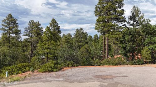 7026 Leo Ln, Lakeside, AZ, 85929 | Card Image