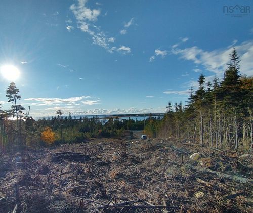 Lot 0 Ostrea Lake Rd, Pleasant Point, NS, B0J | Card Image