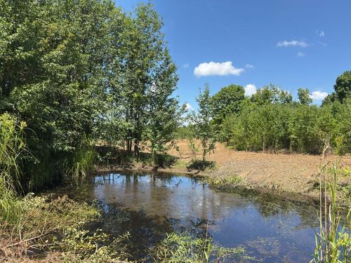 00 Marcrom Rd, Morrison, TN, 37357 | Card Image