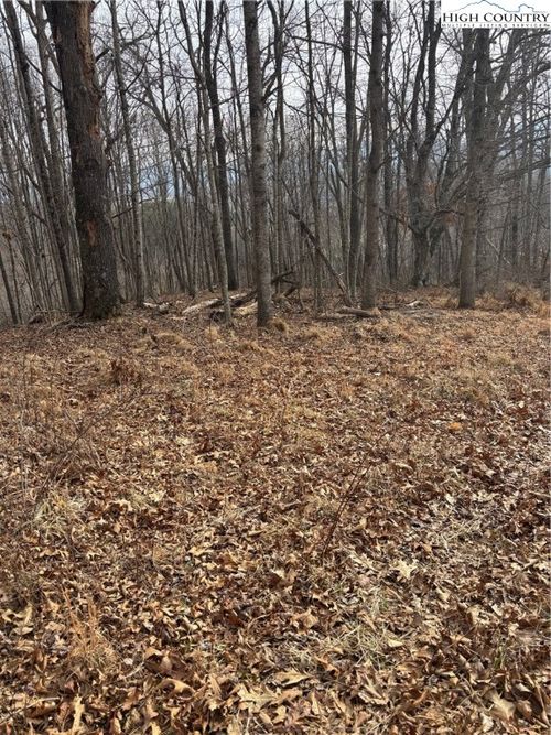 TBD Pioneer Ridge, Piney Creek, NC, 28663 | Card Image