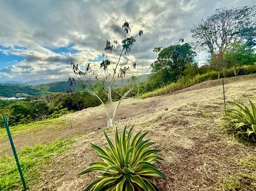 1-Cidra Campo Bello, Cidra, PR, 00739 | Card Image