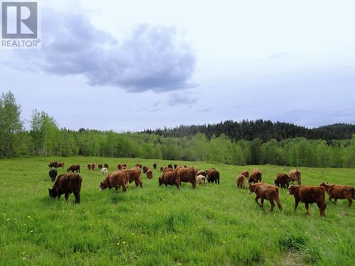 DL5277 Day Rd, Horsefly, BC, V0L1L0 | Card Image