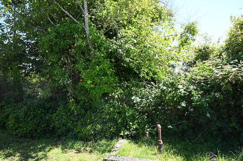 lots-14-34-15 N Coral St, Rockaway Beach, OR, 97136 | Card Image