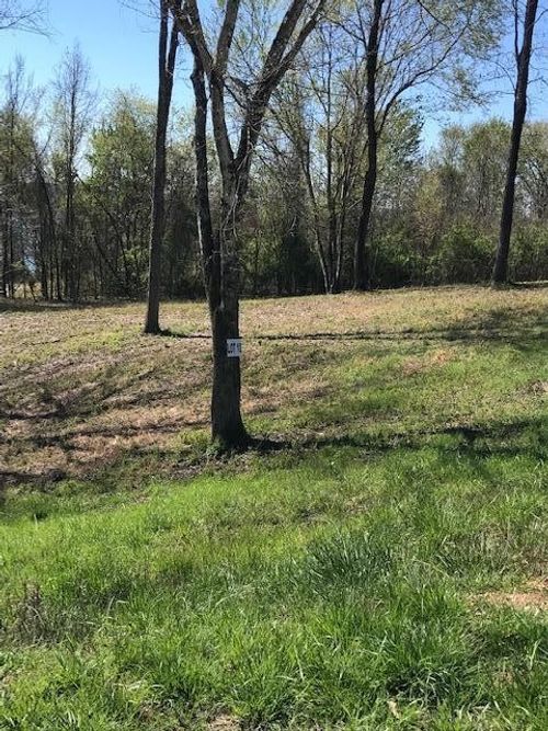 10 Piney View Dr, Spring City, TN, 37381 | Card Image