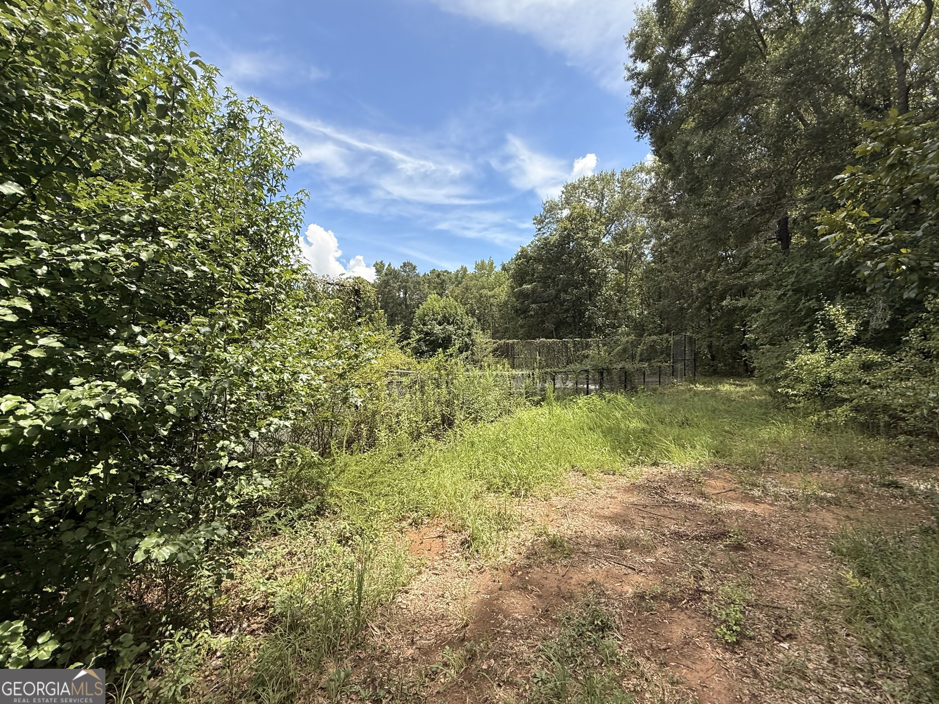 Land in Macon 2