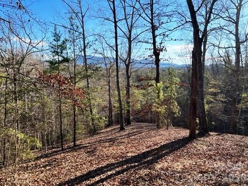 Lot 17-4 N Coast Dr, Mill Spring, NC, 28756-0623 | Card Image