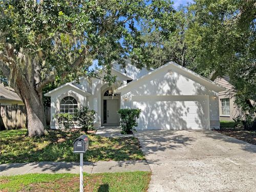 10905 Brucehaven Dr, RIVERVIEW, FL, 33578-3924 | Card Image