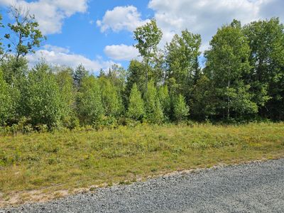 Lot 16 Daigneau Trail, Home with 0 bedrooms, 0 bathrooms and null parking in Merrillsville NY | Image 1