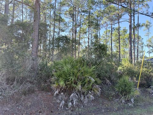 1720 10th Ave, Deland, FL, 32724-3169 | Card Image