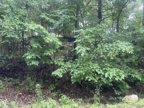 000 Sun Perch Ln, Kimberling City, MO, 65686 | Card Image