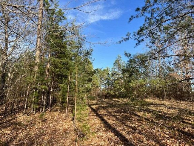 0 Log Cabin Ln, Home with 0 bedrooms, 0 bathrooms and null parking in Dunlap TN | Image 5